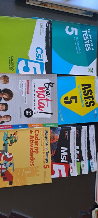Cadernos de atividades 5.o ano