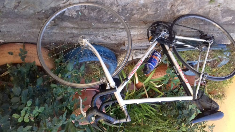 Bicicleta em bom estado geral.