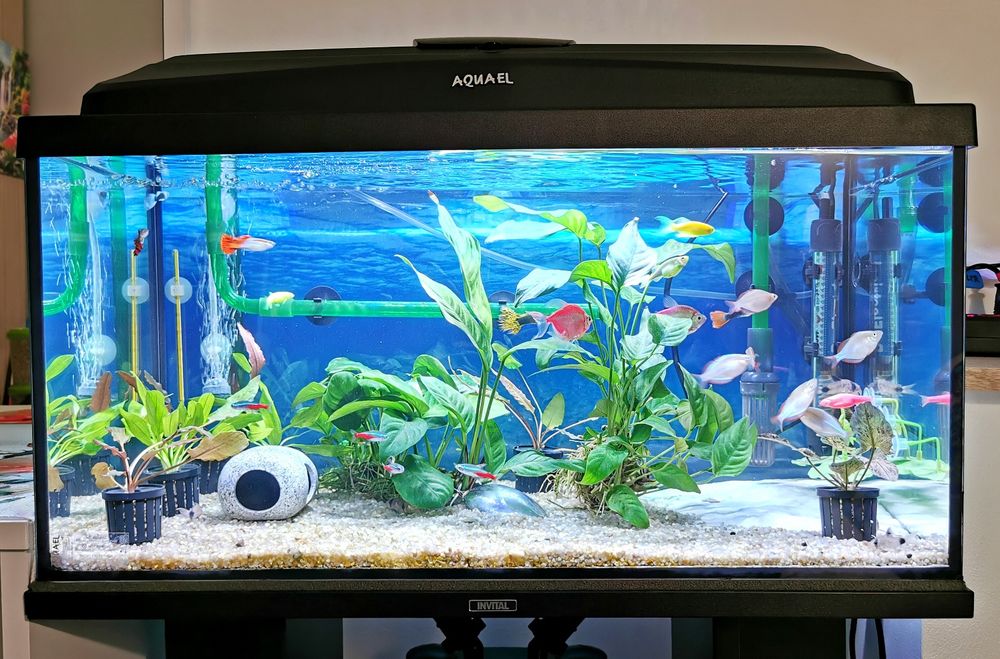 Akwarium Aquael 54 l, stan bdb