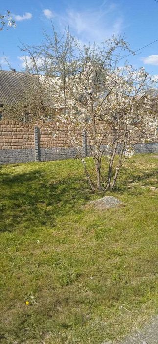 Продам будинок в місті Корсунь-Шевченківський на дві окремі половини