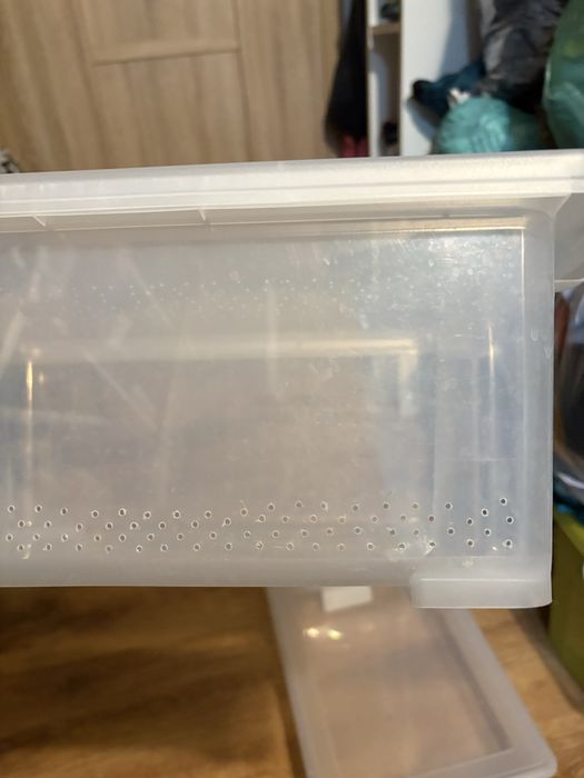 Terrarium szkalne