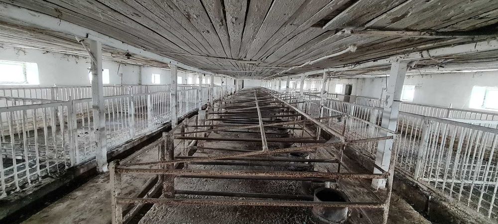 Продаж тваринницького комплексу. 5000 кв.м. 11 га.