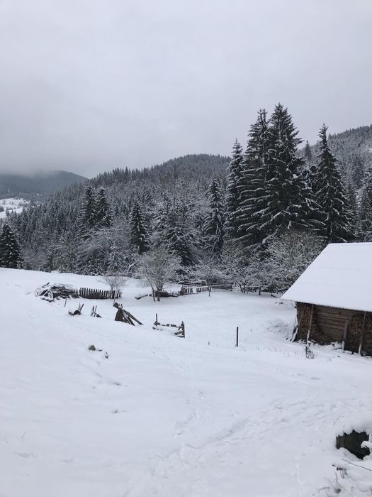 Земля під будівництво земельна ділянка в Карпатах Верхонина
