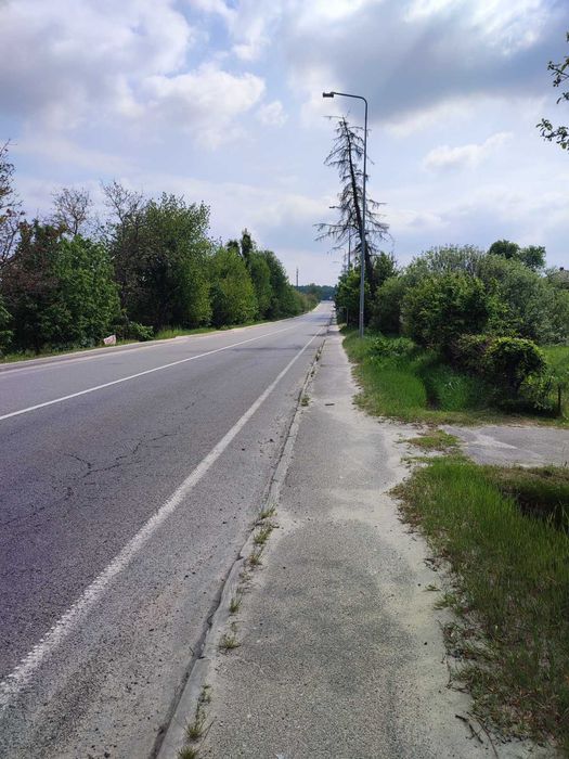 Липники: 24 сотки під забудову на першій лінії від центральної дороги, 7км від Львова! - Вид 2