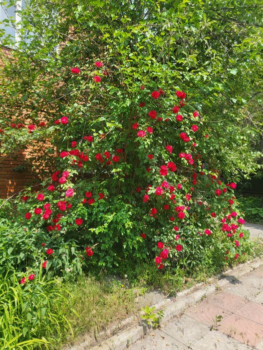 Добротный Двухэтажный Дом Район Алексеевки Возможен Обмен