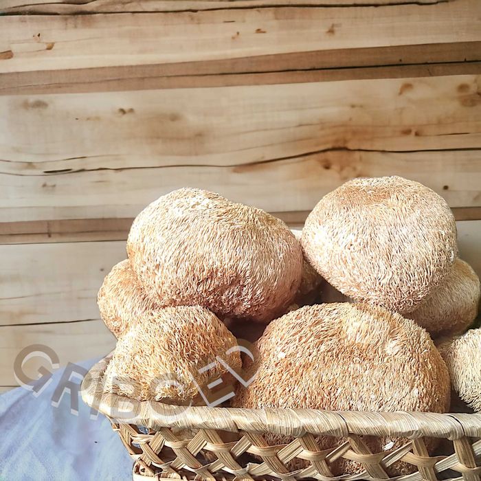 Ежевик гребенчатый в порошке. УЛУЧШЕННЫЙ ЭФФЕКТ - 100 грамм!