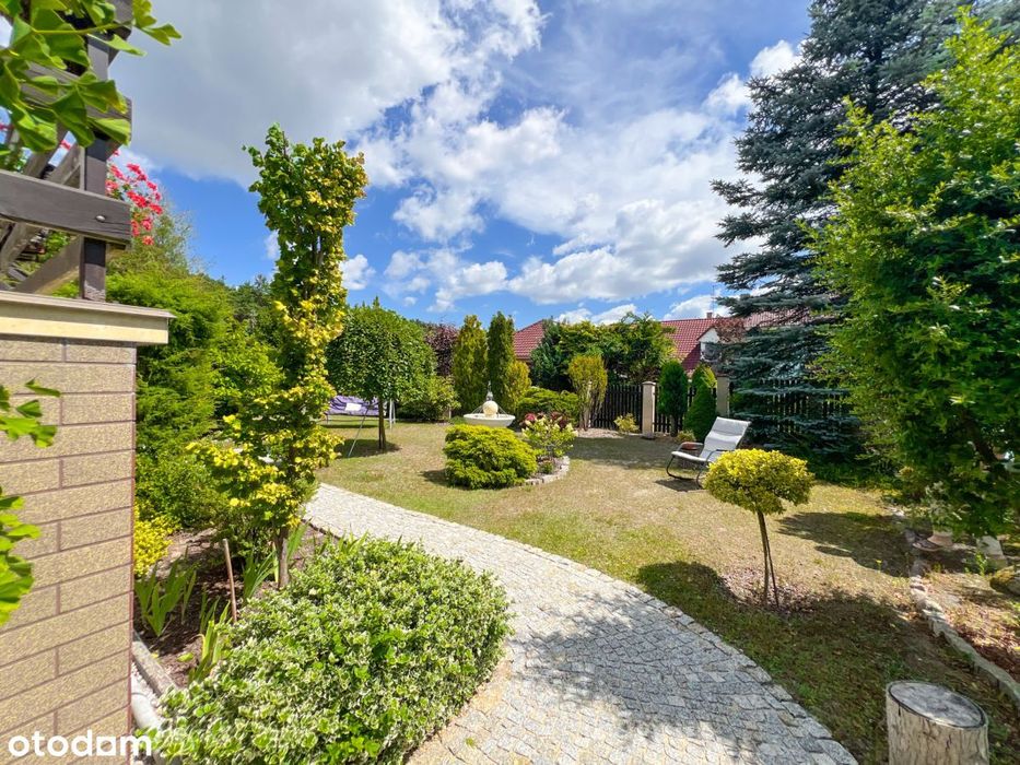 Dom – Zielona Góra - Widok 5