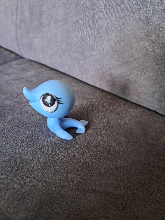 Foka petshop niebieska