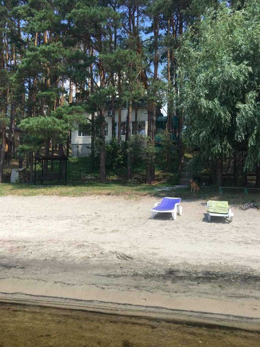 Подобова оренда сучасного будинку на березі Дніпра в сосновому лісі.