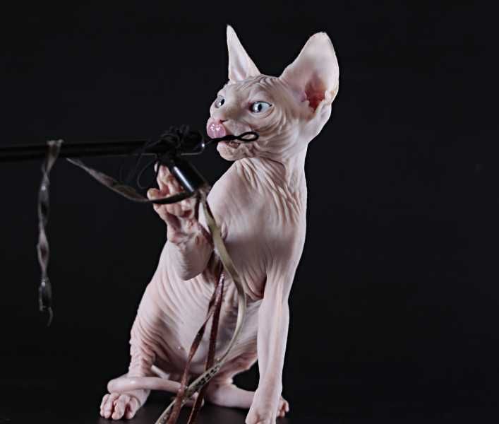 В глазах которых можно утонуть, супер ласковый малыш.