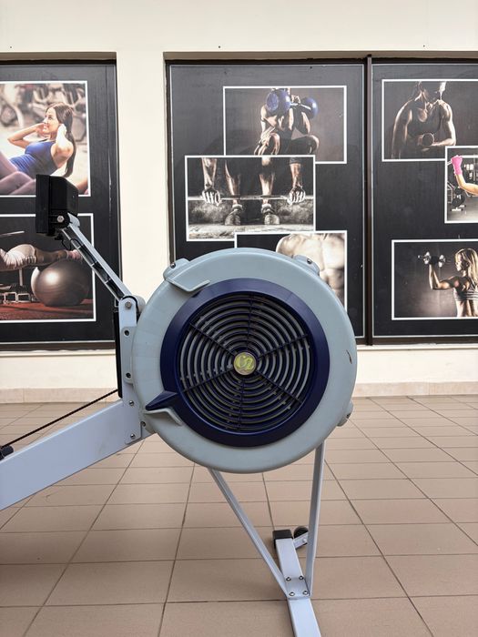 Remo Concept2 Model D