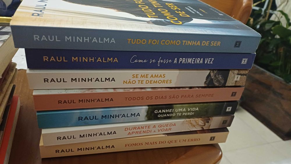 Livros de Escritores Famosos (Colleen Hoover , Raul Minha'alma e mais)