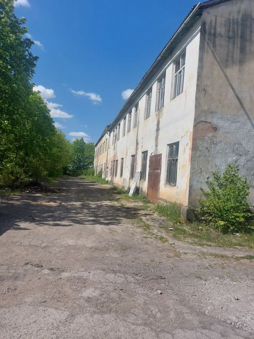 Продається Завод  2000 м2, Закарпаття Берегівський р-н ., с.Онок