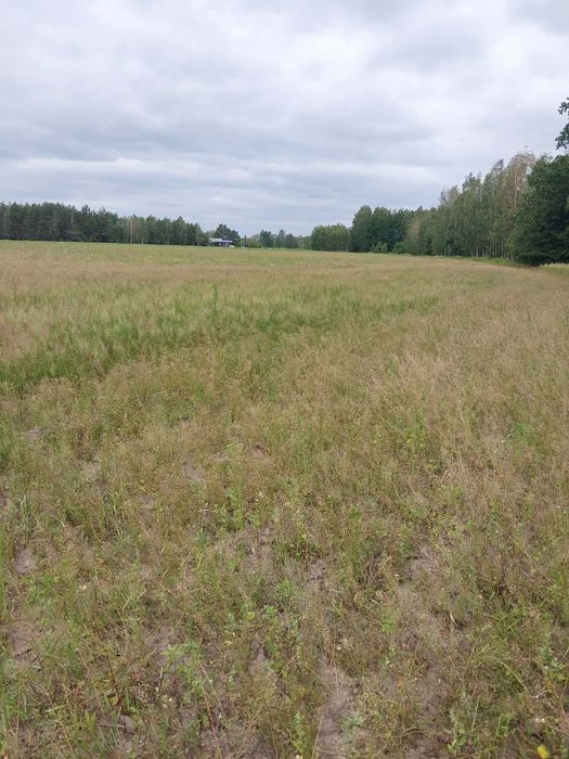 Działka budowlana 0,10ha