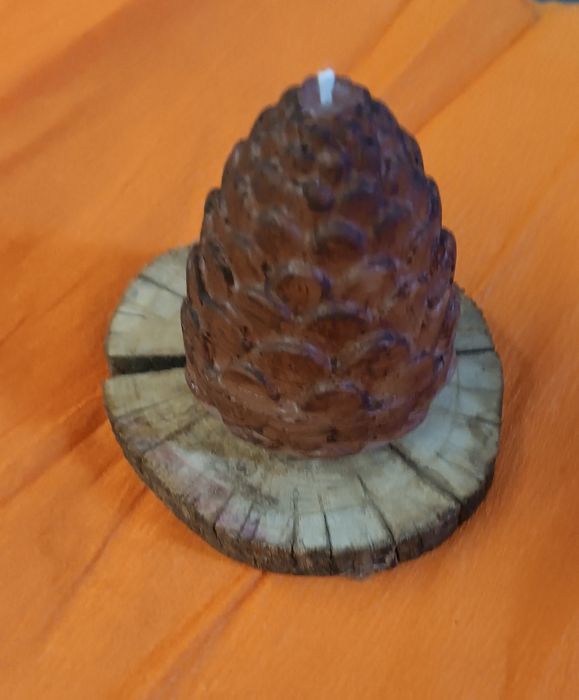 Arranjo de floresem cera