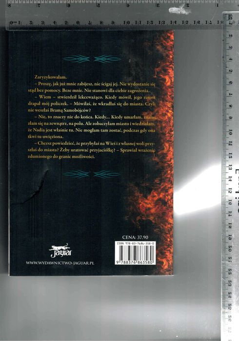 Sanktuarium Sarah Fine