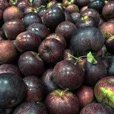 Macieira de maças PRETAS - Envio incluido