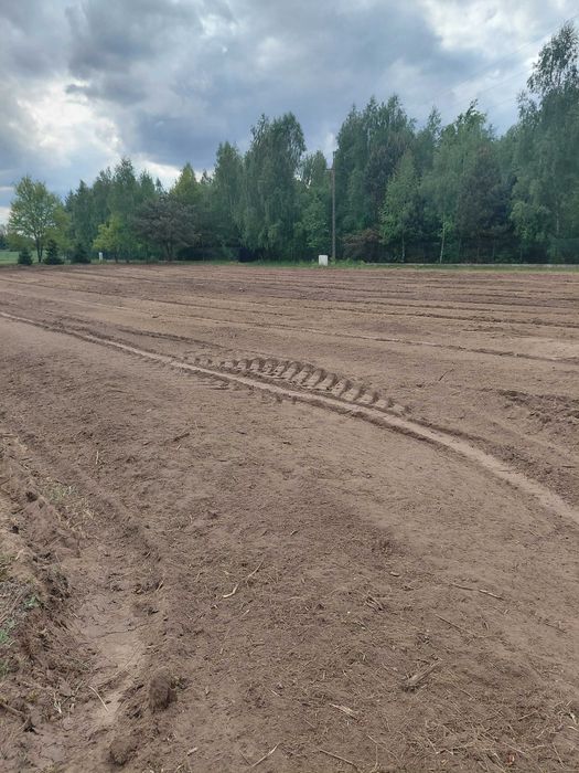 Wycinka drzew krzaków Czyszczenie działek Karczowanie Mulczowanie