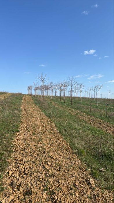 Бізнес Поле продаж