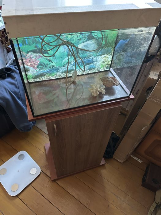 Акваріум повний комплект з тумбою