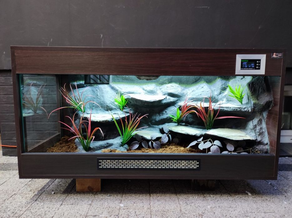 Terrarium wąż pyton boa PETMARKET