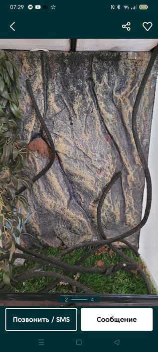 Декор для террариума, лиана для Хамелеона