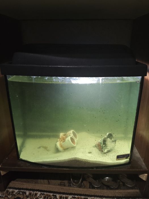 Аквариум (природа) до 25л