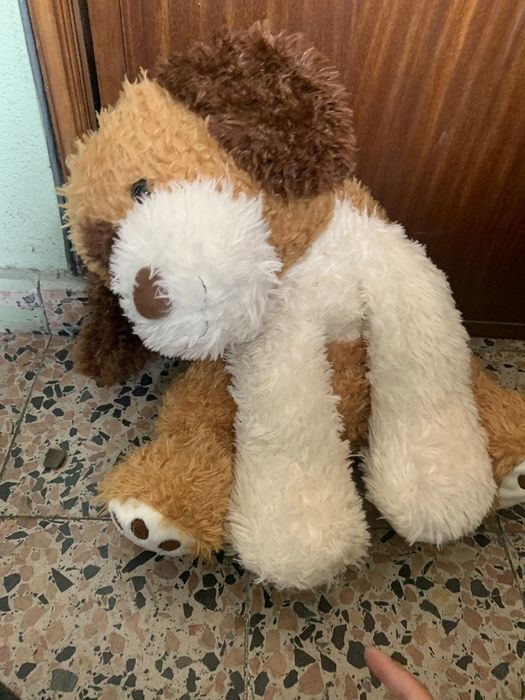 Peluche de cão novo