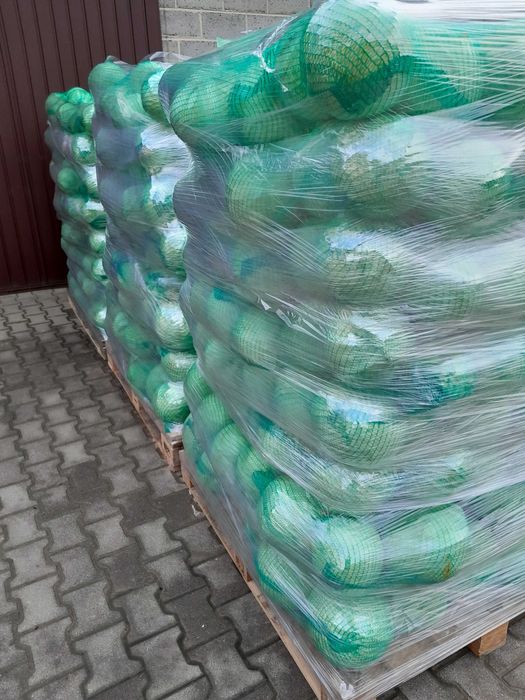 Kapusta biała kal. 3kg+, Kapusta czerwona kal. 1-2kg. szatkowana.