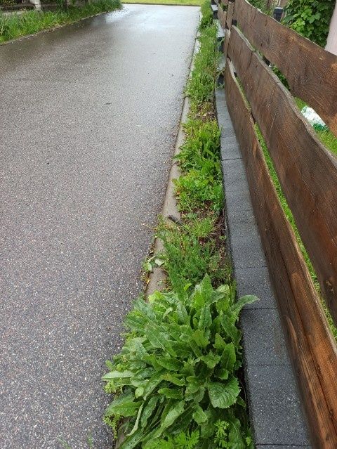 Deski brzozowe 30 mm 270 x 30 cm ogrodzenie