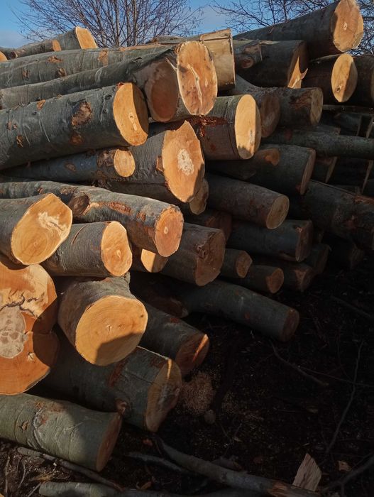 Drewno opałowe grab buk po łupany