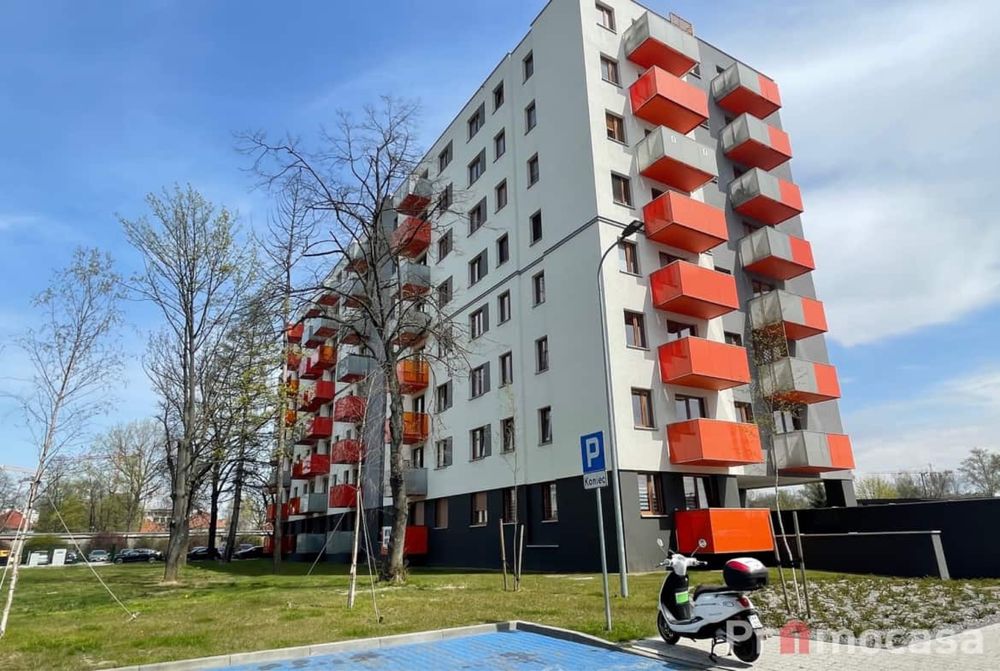 Mieszkanie lub pokoje do wynajęcia