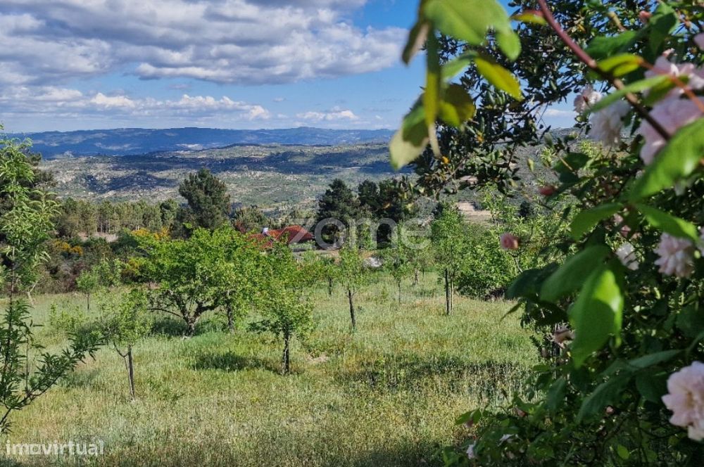 Venda De Dois Prédios Rústicos – Pegarinhos , Alijo