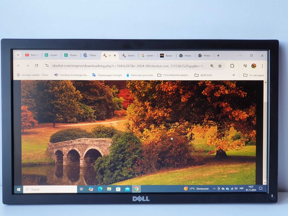 Монітор 19" Dell E1916He  TN+Film LCD з LED  displayport /VGA/кабель