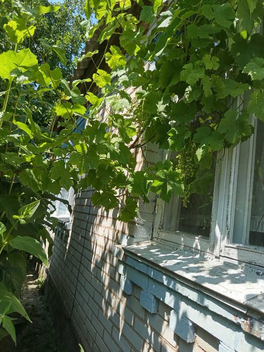 Продам будиночок Варовичі Фастівський район.