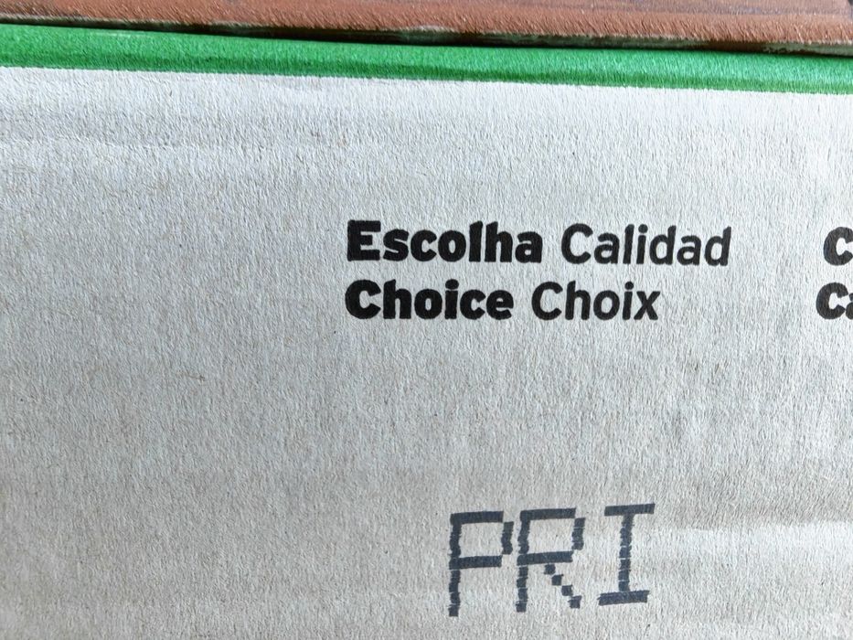 19m2  cerâmica parede