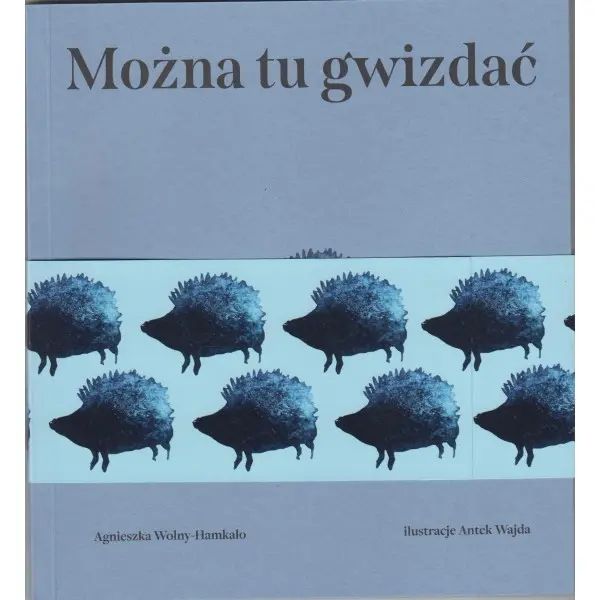 Można tu gwizdać