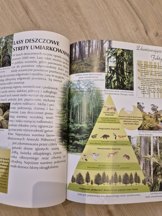 Encyklopedia Lasy