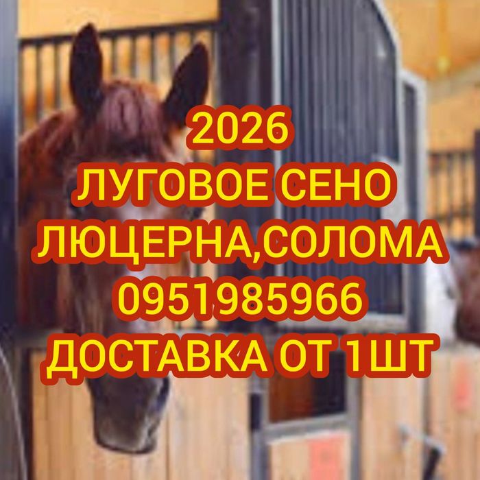 ‼️СІНО 2026  ДОСТАВКА від 1 шт, сено в тюках мешках суданки‼️