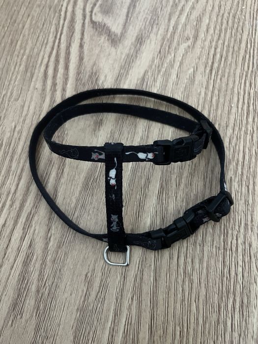 Arnes e Guia de passeio