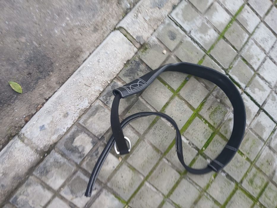 Arreio de engate para parelha.