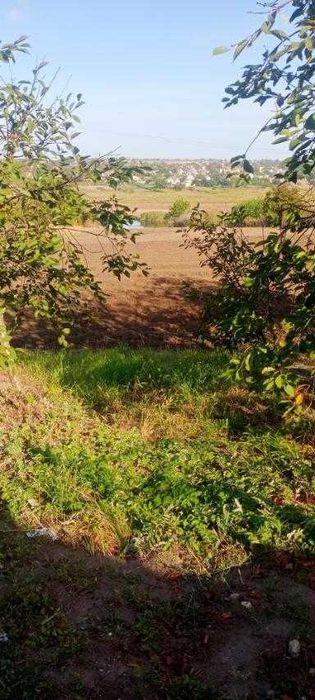 Здається будинок у селищі М. Ларіно