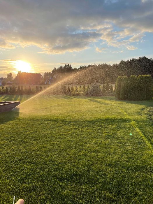 Projektowanie ogrodów , Usługi ogrodnicze