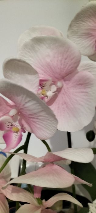 Sztuczny różowy storczyk trzypędowy w ozdobnej doniczkowe