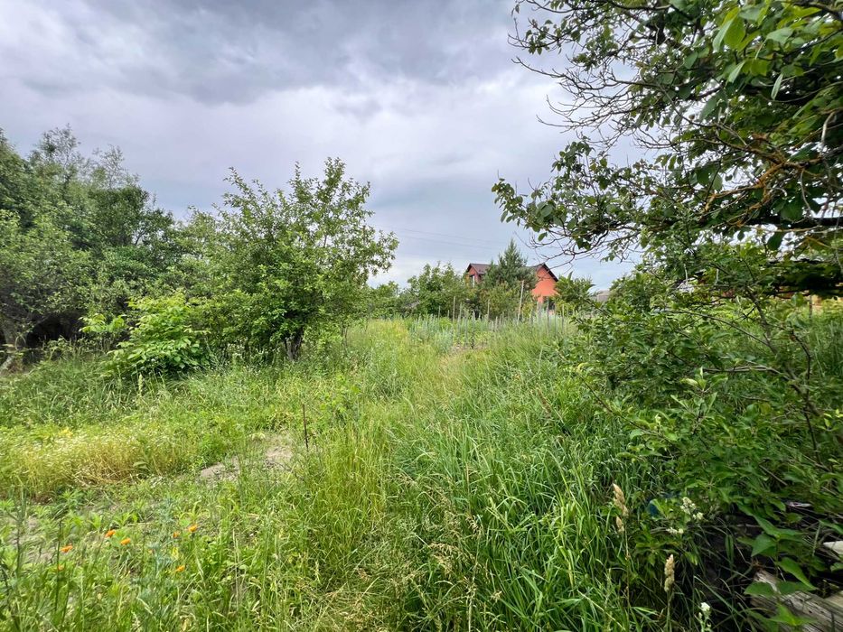 Дачний будинок в Буках