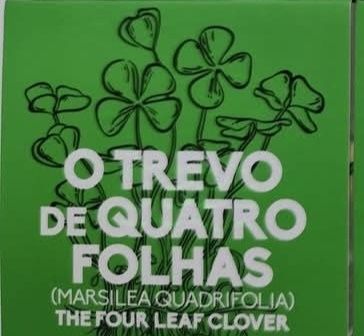 5€ Proof Trevo quatro folhas 2018
