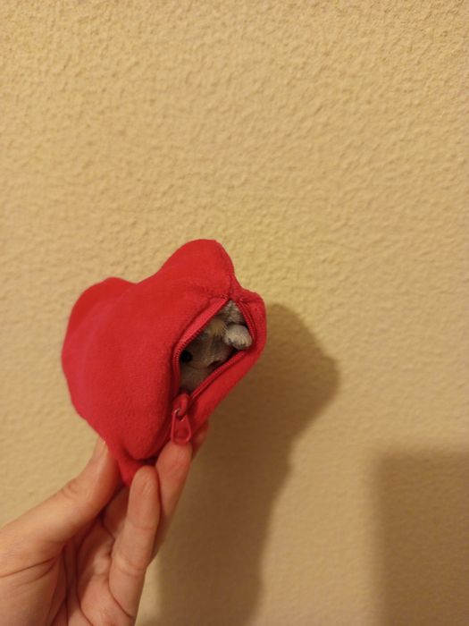 Peluche dia dos namorados