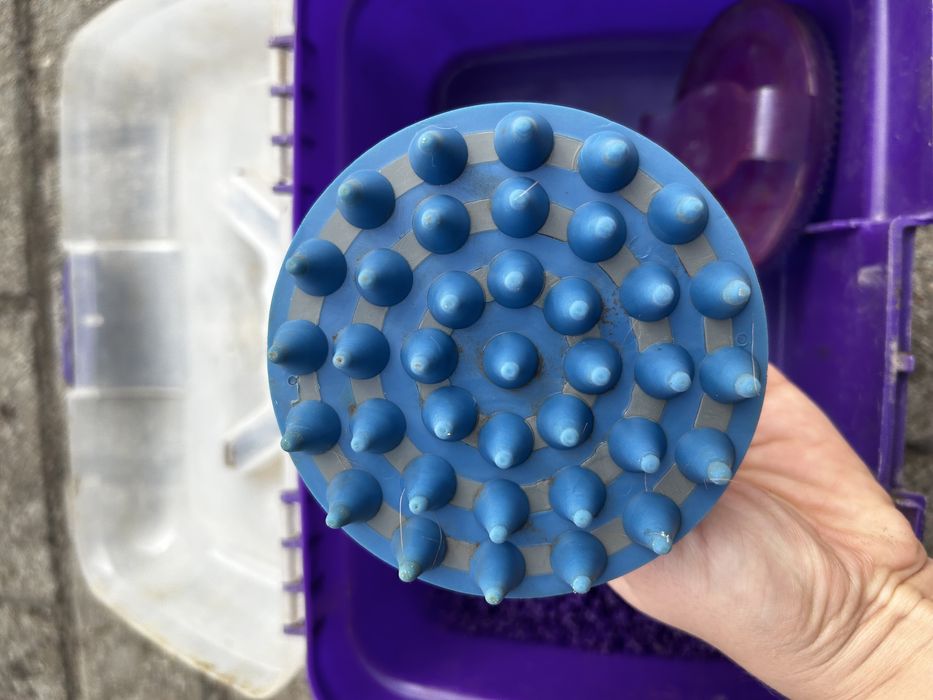 Zestaw szczotek końskich