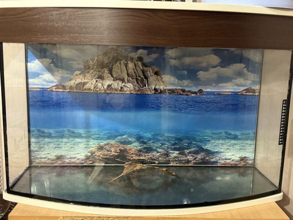 Продам акваріум для риб