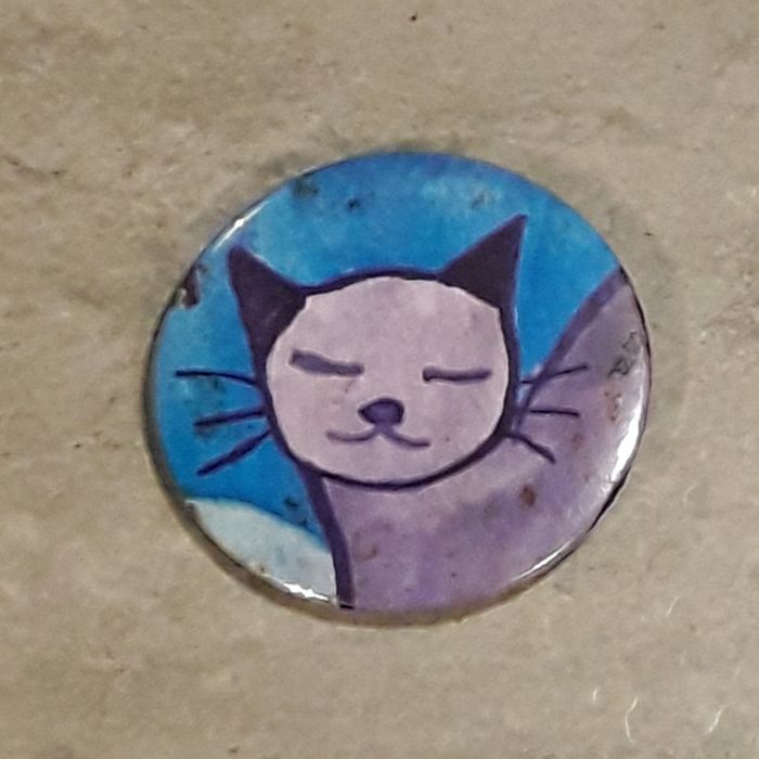 Pin grande crachá gato